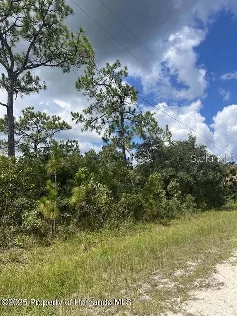 10194 YELLOW FROG AVE, Weeki Wachee, FL 34614