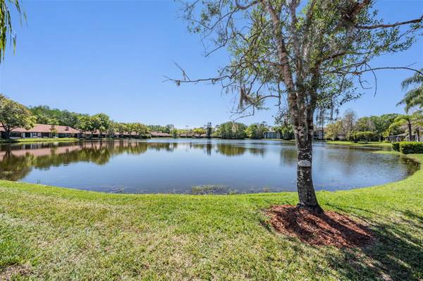 3960 MERMOOR DR, Palm Harbor, FL 34685