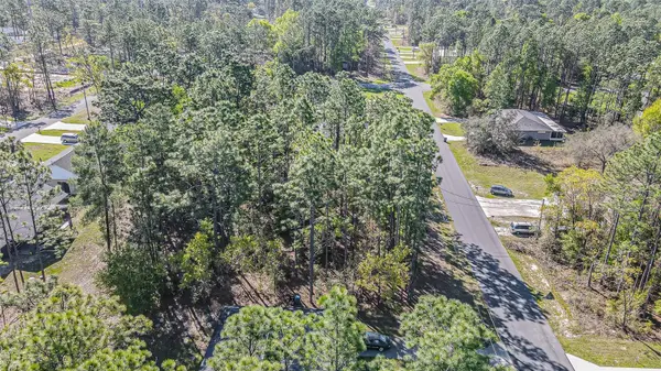 9411 N MENDOZA WAY, Citrus Springs, FL 34434