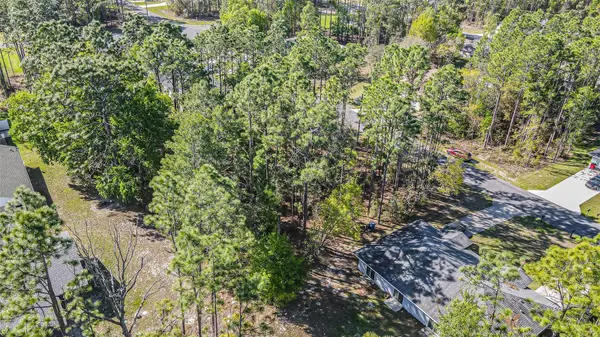 9411 N MENDOZA WAY, Citrus Springs, FL 34434