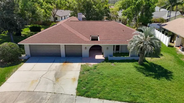 4072 BELMOOR DR, Palm Harbor, FL 34685