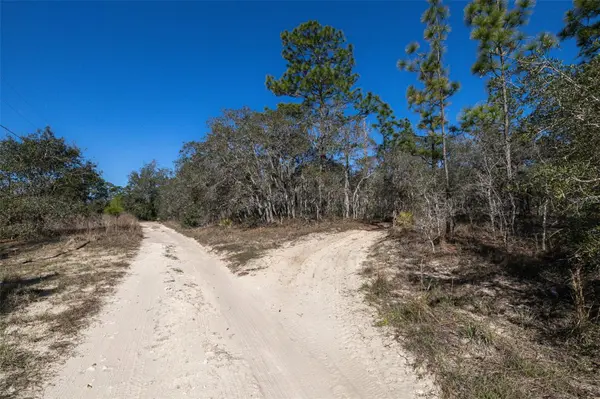 4845 W HERMAN CT, Homosassa, FL 34446