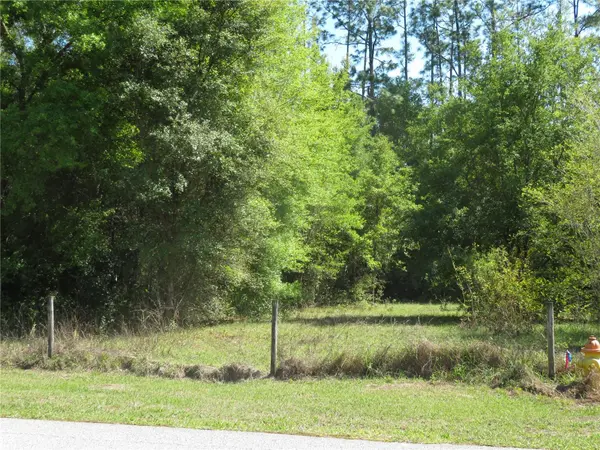 Address not disclosed, San Antonio, FL 33576