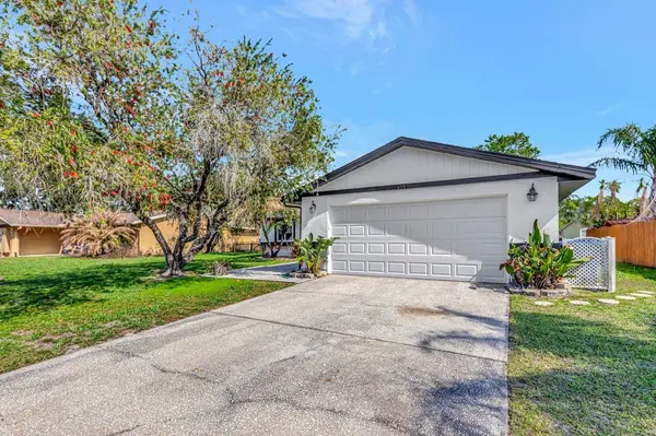 435 LAKEVIEW DR, Oldsmar, FL 34677