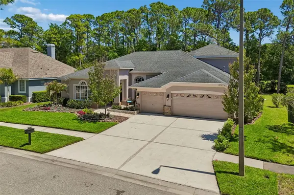 10423 GREENHEDGES DR, Tampa, FL 33626