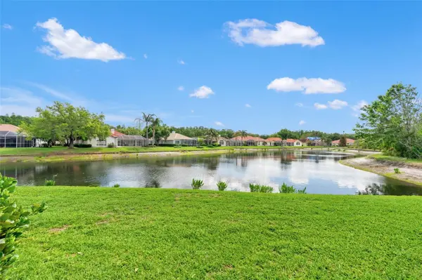 17905 ARBOR GREENE DR, Tampa, FL 33647
