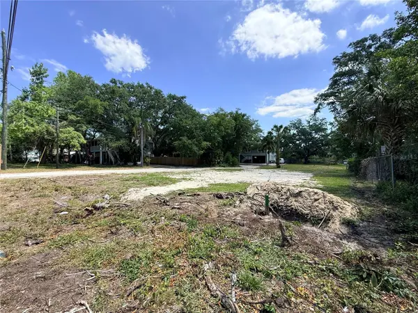 290 ORANGE ST, Palm Harbor, FL 34683