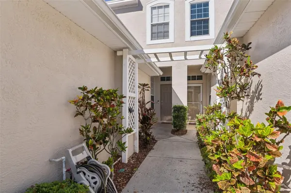 3661 COUNTRY POINTE PL, Palm Harbor, FL 34684