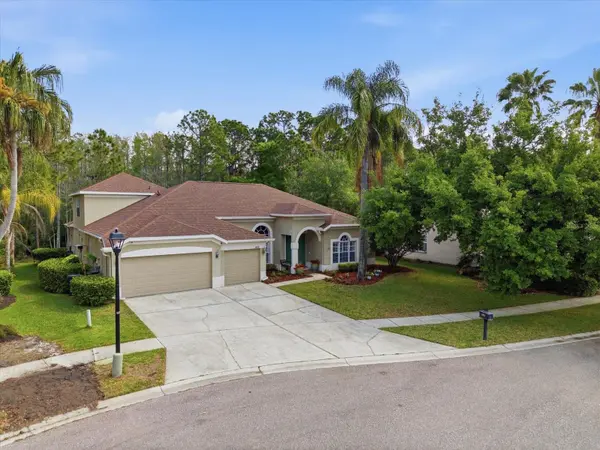 18931 CHAVILLE RD, Lutz, FL 33558