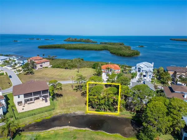 N POINTE ALEXIS DR, Tarpon Springs, FL 34689