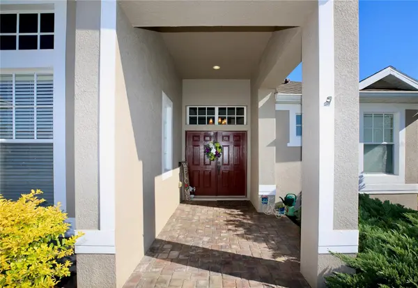 2410 TEA OLIVE TER, Valrico, FL 33594