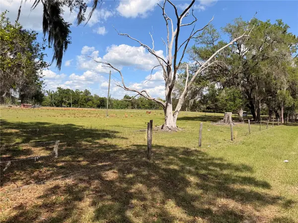 20512 RAMER RD, Dade City, FL 33523