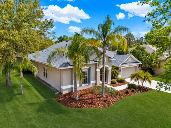 7018 CARDINALWOOD LN, Land O Lakes, FL 34637