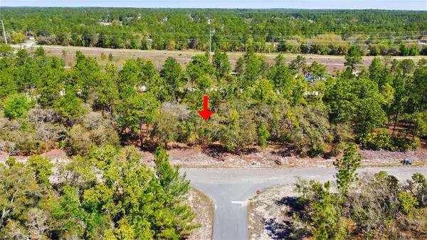 1877 W PENDLETON ST, Dunnellon, FL 34434