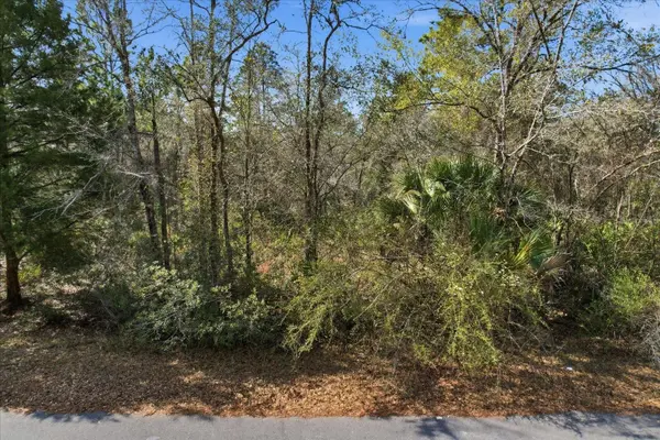 9568 N DAWNFLOWER AVE, Crystal River, FL 34428