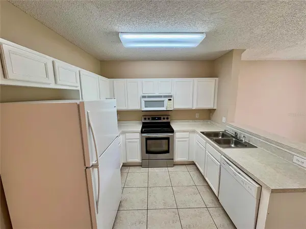 6002 OSPREY LAKE CIR, Riverview, FL 33578