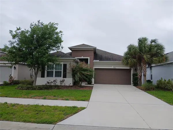 29900 WALSH OAK DR, Wesley Chapel, FL 33545
