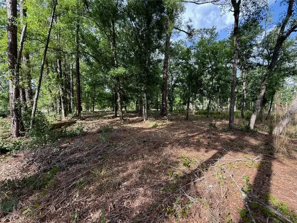 QUAIL HOLLOW BLVD, Wesley Chapel, FL 33544