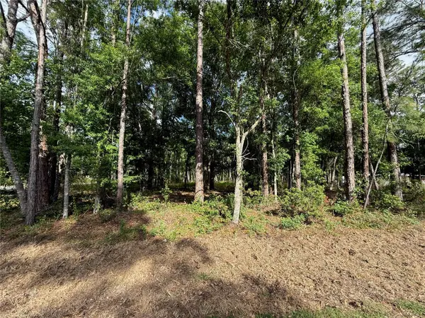 QUAIL HOLLOW BLVD, Wesley Chapel, FL 33544