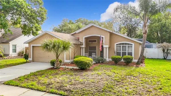 2631 GREEN VALLEY ST, Valrico, FL 33596