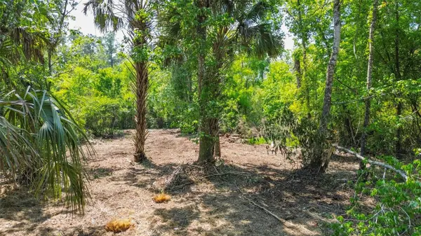 0 MUDDY WATER TRL, Thonotosassa, FL 33592