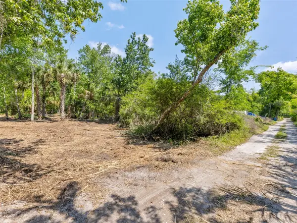0 MUDDY WATER TRL, Thonotosassa, FL 33592