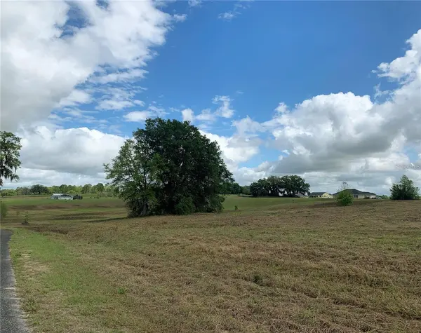 21635 SW 10TH ST, Dunnellon, FL 34431