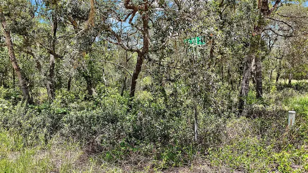 0 SE 197TH AVE, Ocklawaha, FL 32179