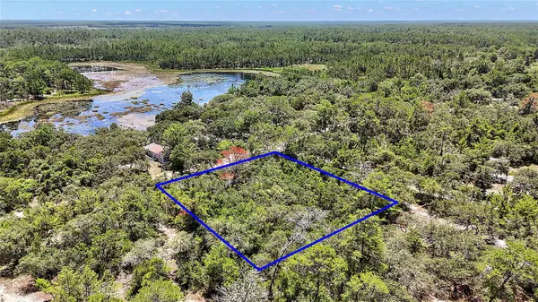 0 SE 197TH AVE, Ocklawaha, FL 32179