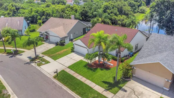 8609 BOYSENBERRY DR, Tampa, FL 33635