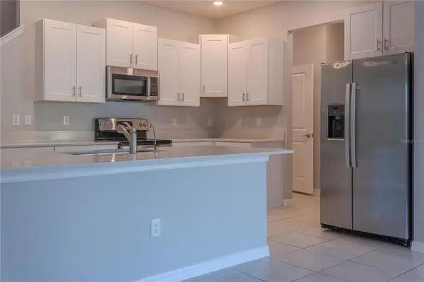 17711 NECTAR FLUME DR, Land O Lakes, FL 34638