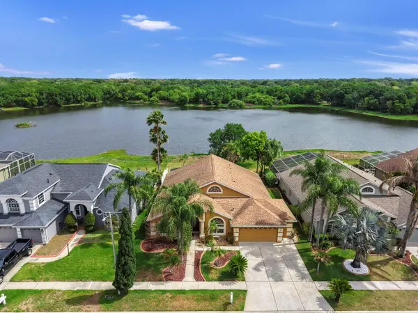 220 ROSANA DR, Brandon, FL 33511