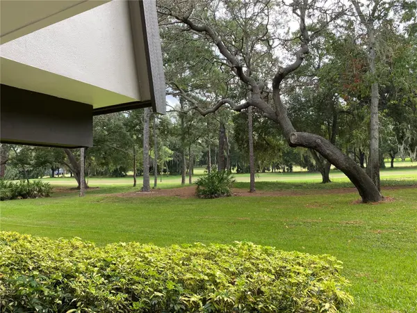 36750 US HIGHWAY 19 N #19-115, Palm Harbor, FL 34684