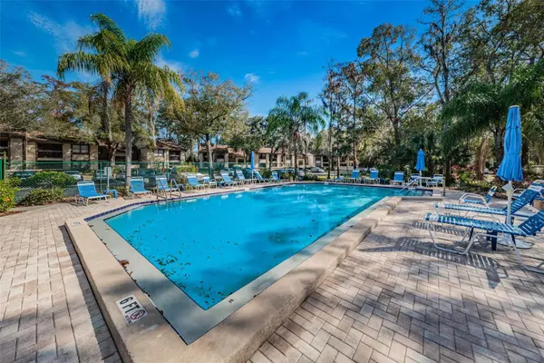 207 WOODLAKE WYNDE #207, Oldsmar, FL 34677