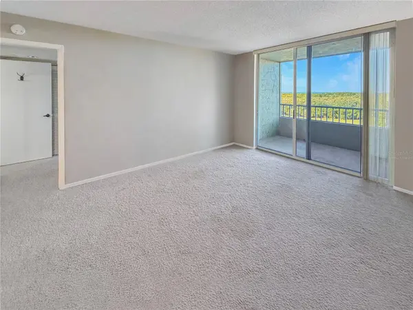 2333 FEATHER SOUND DR #C507, Clearwater, FL 33762