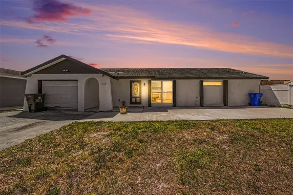 10119 CHIMNEY HILL CT, Tampa, FL 33615