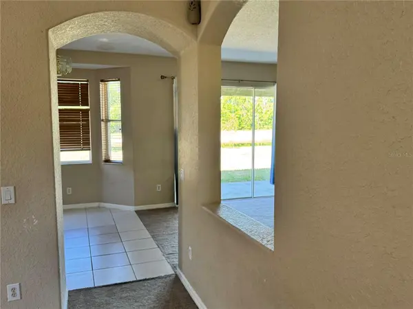 9023 PINEBREEZE DR, Riverview, FL 33578
