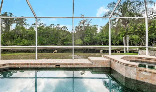 4152 GRANDCHAMP CIR, Palm Harbor, FL 34685