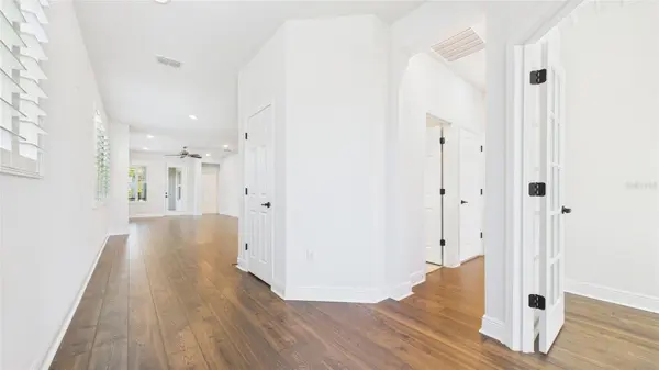 13890 KINGFISHER GLEN DR, Lithia, FL 33547