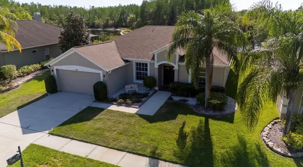 18012 SPARROWS NEST DR, Lutz, FL 33558