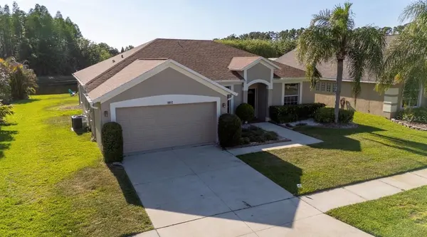 18012 SPARROWS NEST DR, Lutz, FL 33558