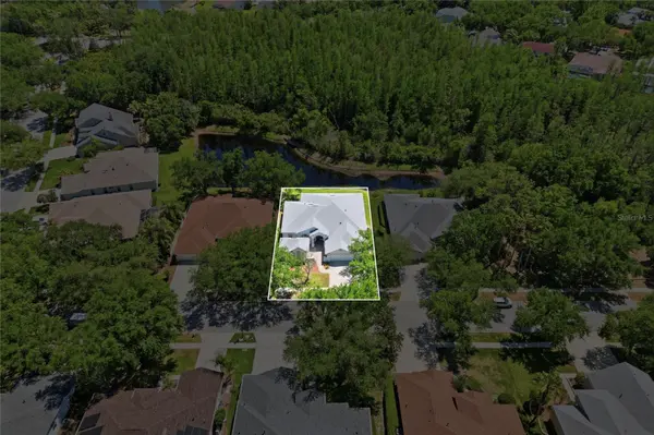 10206 SHADOW BRANCH DR, Tampa, FL 33647