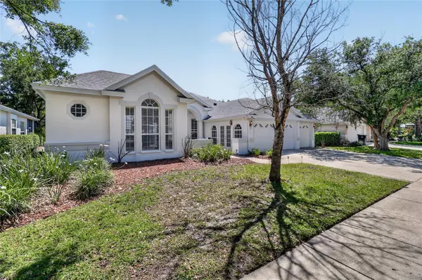 10206 SHADOW BRANCH DR, Tampa, FL 33647