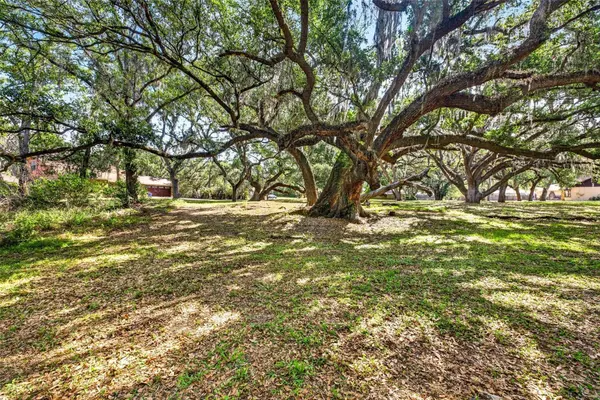 5355 BERNADETTE DR, Zephyrhills, FL 33541