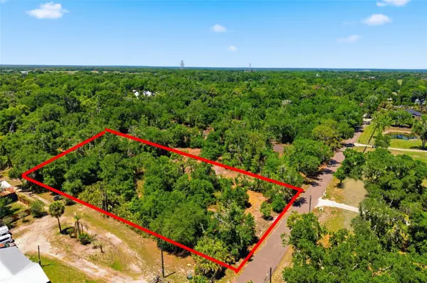 19084 RED BIRD LN #LOT 2, Lithia, FL 33547
