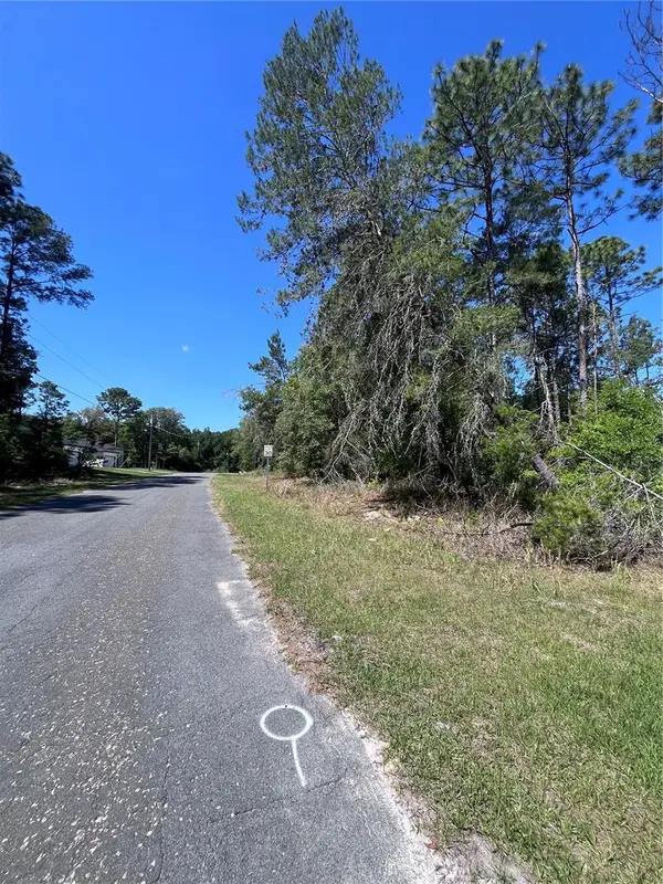 8000 N POCONO DR, Citrus Springs, FL 34434