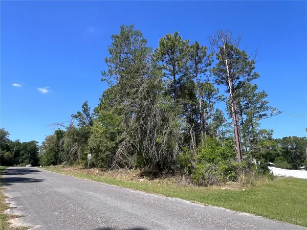 8000 N POCONO DR, Citrus Springs, FL 34434