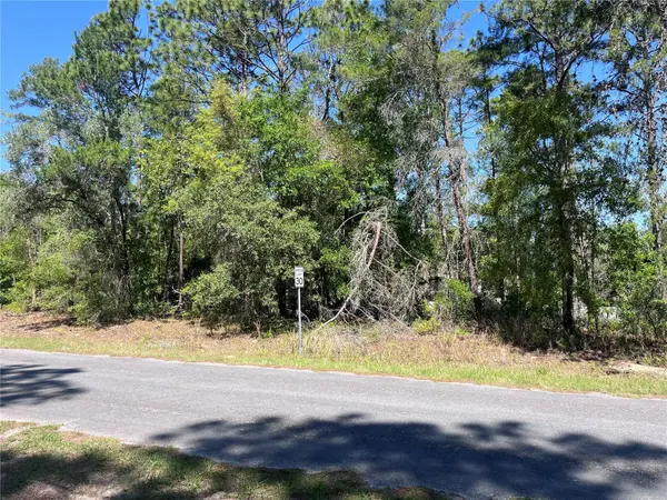 8000 N POCONO DR, Citrus Springs, FL 34434
