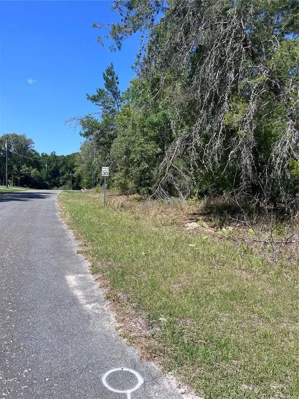 8000 N POCONO DR, Citrus Springs, FL 34434