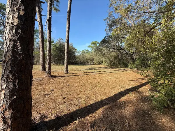 6479 W HOLIDAY ST, Homosassa, FL 34446